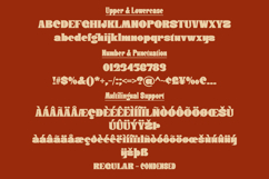 Donge | Display Font Product Image 12