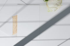 Shadow Backdrops Videos Collection Product Image 12