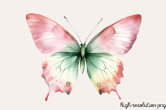 Colorful Spring Butterfly Clipart Bundle PNG Product Image 7