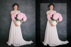 51 Leafage Frame Shade Overlays Product Image 12