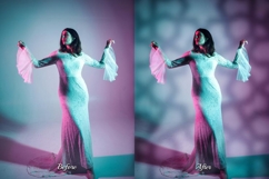 50 Ornamental Gobo Snoot Overlays Product Image 12