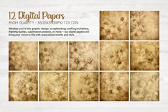 Parchment Blooms 12 Digital Papers Product Image 6
