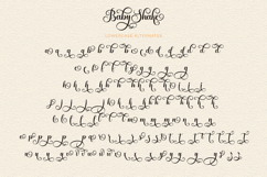 Baby Shake - Luxury Calligraphy Font with Swirl Alternate Product Image 12