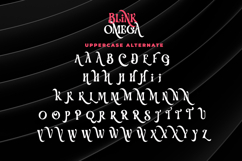 Blink Omega - Luxury Swash Serif Font Product Image 12