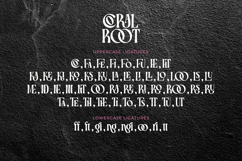 Coral Root - Modern Serif Font with Ligatures Product Image 12