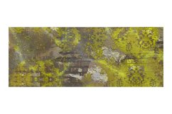 Mug Sublimation Designs , Abstract StoneTexture Sublimation Product Image 2