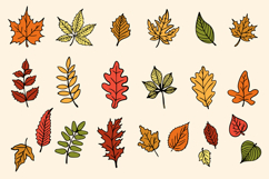Colorful Hand drawn Autumn Leaves Collection on Beige Product Image 1