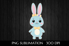 Charming Easter Bunny Product Image 1