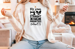 Funny Quilting Quote SVG For Quilters | My Seams Straight Product Image 4
