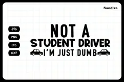 Funny Car Sticker Saying | Vehicle Decal - I'm Just Dumb Product Image 3