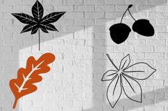 Leaves sublimation design, Leaves vector, Leaves bundle svg Product Image 2