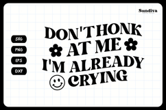 Funny Car Sticker Saying | Vehicle Decal - Don&#039;t Honk At Me Product Image 3