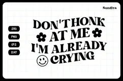 Funny Car Sticker Saying | Vehicle Decal - Don't Honk At Me Product Image 3