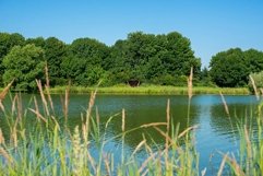 Green trees on the river bank against the blue sky Product Image 1