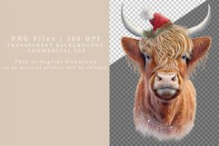 Highland cow clipart, Christmas clipart Product Image 2