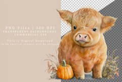 Highland calf clipart, Autumn clipart, Fall clipart, Product Image 2