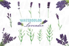 Lavender leaves and bouquets watercolor clip art pack Product Image 1