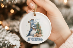 Rustic 1st Christmas Ornament Bundle Western PNGs Product Image 4