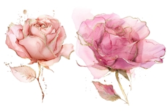 30 Watercolor Rose Clipart, Pink Floral PNG, Wedding Flowers Product Image 13