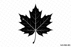 Leaf Svg | Christmas Svg | Svg Cut Files Product Image 1