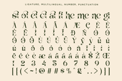 Vanelo - Luxury Serif font Product Image 12