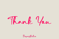 Sailma Handwritten Font Product Image 13