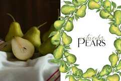 Watercolor Pears art set Product Image 13