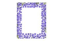 Spring botanical frame with blue flowers. Forget me not bran Product Image 4