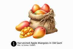 Harvested Apple Mangoes in Old Sack Watercolor PNG Summer Product Image 1
