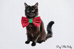 Christmas Cats Clipart PNG Product Image 1