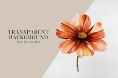 Watercolor Terracotta Flowers Clipart, PNG. Product Image 2