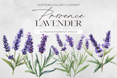 Watercolor Provence Lavender Flowers Clipart, PNG. Product Image 1