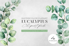 Eucalyptus Branch Clipart, Watercolor Leaf Clip Art. Product Image 1