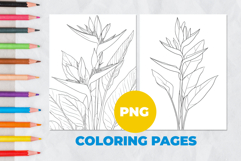 Tropical flower Coloring Pages | Coloring book Product Image 1