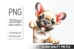 Funny Baby Dog Clipart PNG, Sublimation Dog Design Product Image 1