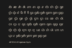 Vexane Editoral Logo fonts Product Image 13