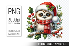 Christmas Owl Clipart PNG, Festive Owl illustration Product Image 1