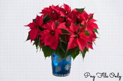 Italian Christmas Clipart PNG Product Image 1