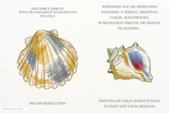Hand-Drawn Seashells Clipart Product Image 2