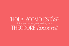 Stylish Avengers Serif Family Product Image 14