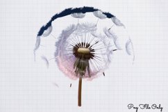 Blowing Dandelions Clipart PNG Product Image 1