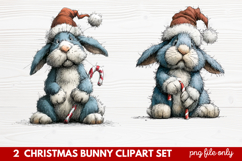 2 Christmas Bunny Clipart Set | Cute Holiday Bunny PNG Illus Product Image 1