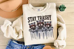 Stay Trashy SVG Design | Quotes| Raccoon Svg Product Image 2