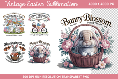 Vintage Easter Rabbit Bunny Bundle PNG Product Image 3