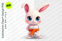 Cartoon White Bunny In Karate With Orange Belt Clipart Product Image 1