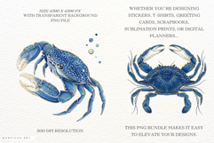 Coastal Glitter Crab PNG Clipart Product Image 2