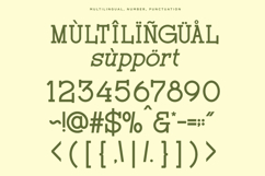 Rochilo - Stylish Slab Ligatures Font Product Image 13