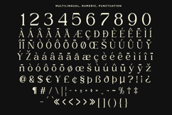 Xaviera - Luxury Serif Font Product Image 13