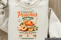 Peaches Sweet Taste of Summer Vintage PNG Design Art Product Image 1