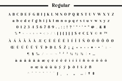Fox Deliora Font Product Image 13